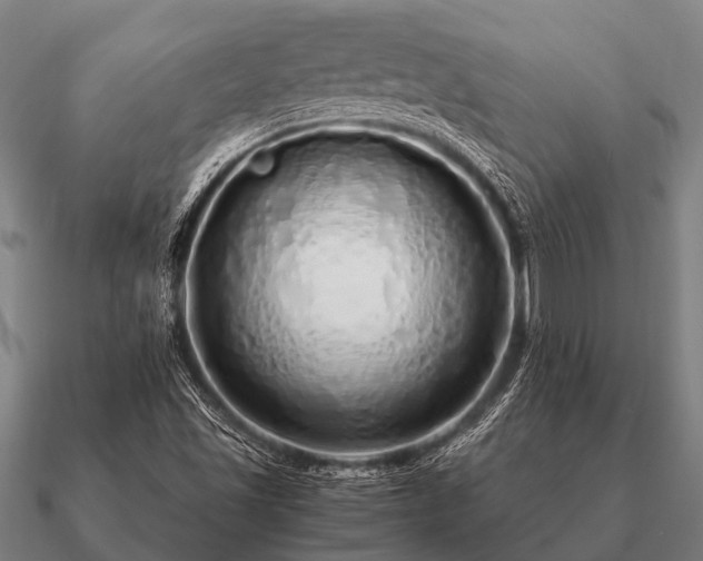 X0000090901501200708061454