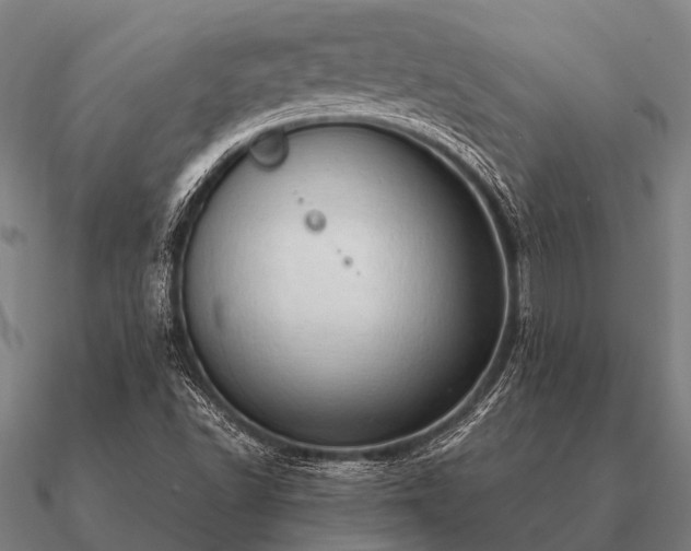 X0000090901502200708061454