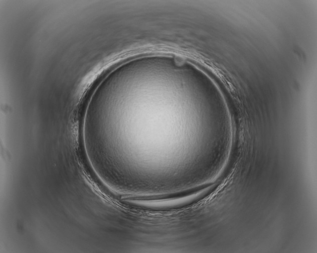 X0000090901503200708061454