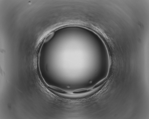 X0000090901504200708061454