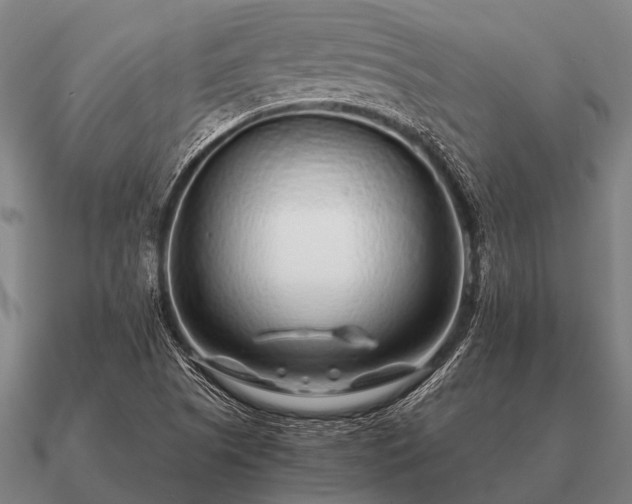 X0000090901505200708061454