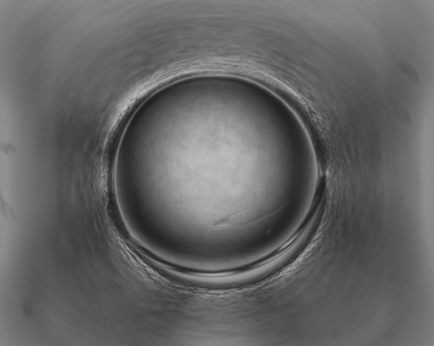 X0000090901506200708061454