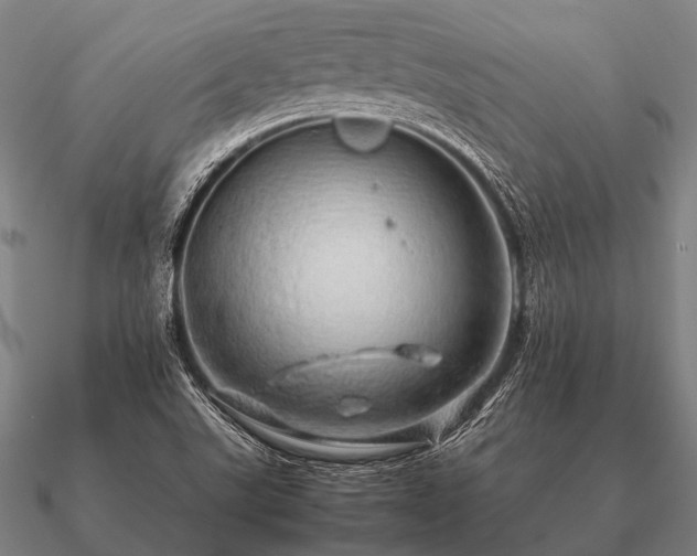 X0000090901507200708061454