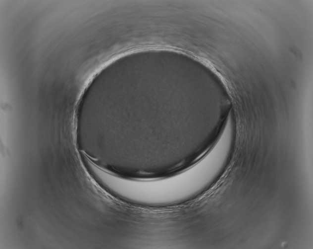 X0000090901508200708061454