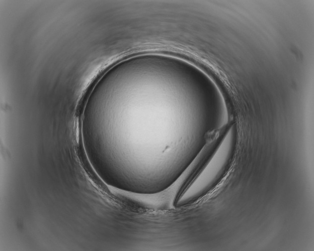 X0000090901509200708061454