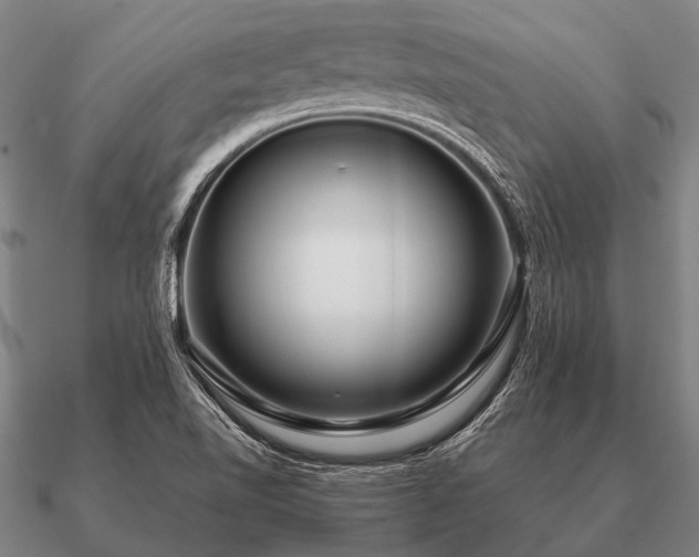 X0000090901510200708061454