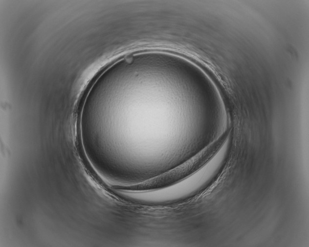 X0000090901511200708061454