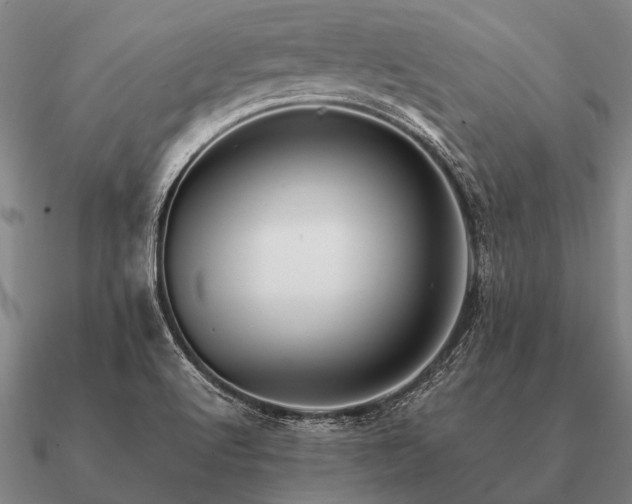 X0000090901512200708061454