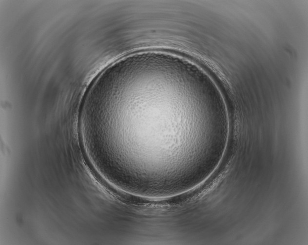 X0000090901513200708061454