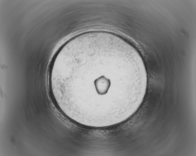 X0000090901514200708061454