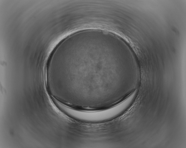 X0000090901515200708061454