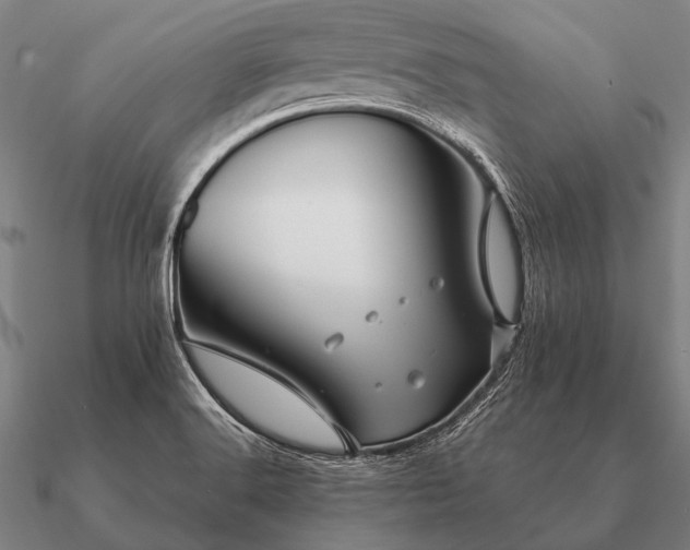 X0000090901516200708061454