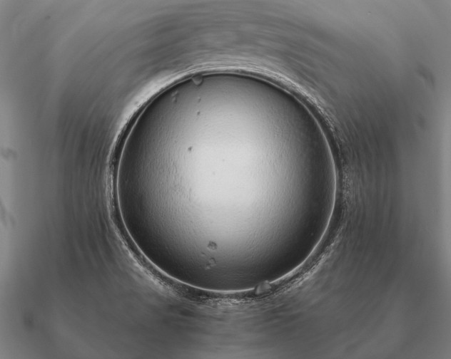 X0000090901517200708061454