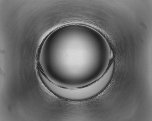 X0000090901518200708061454