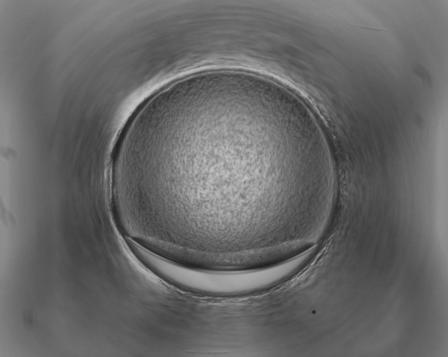 X0000090901519200708061454