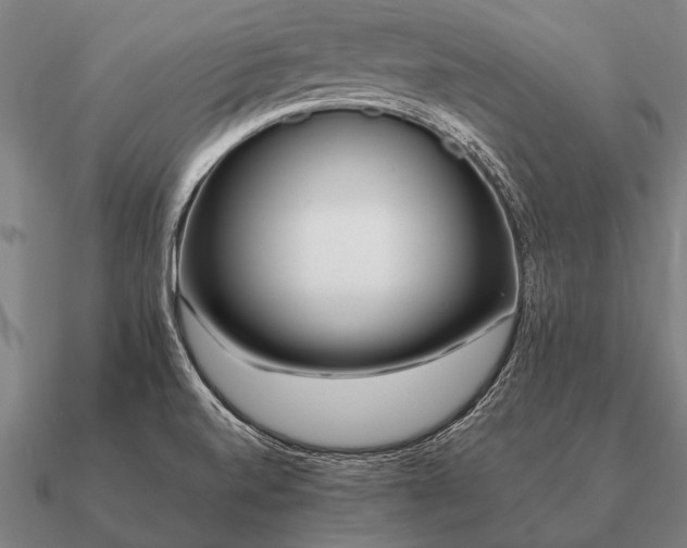 X0000090901520200708061454