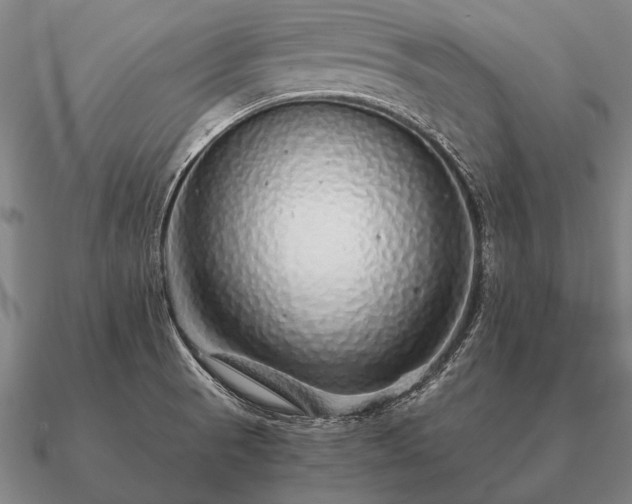 X0000090901521200708061454