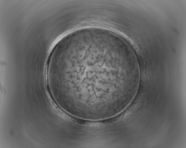 X0000090901522200708061454