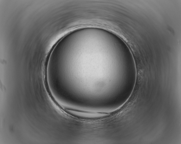 X0000090901523200708061454