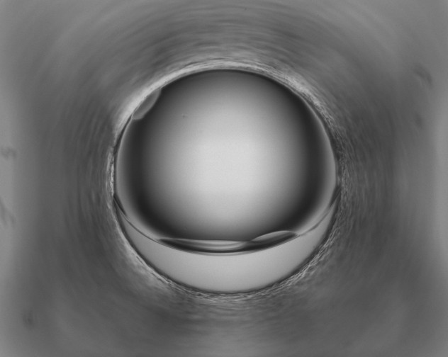 X0000090901524200708061454