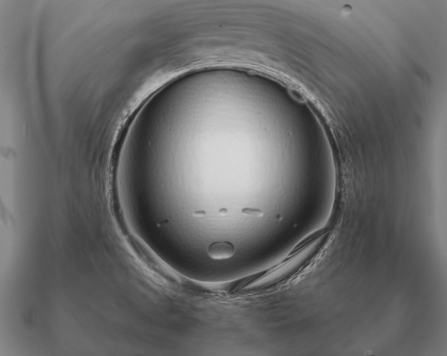 X0000090901525200708061454