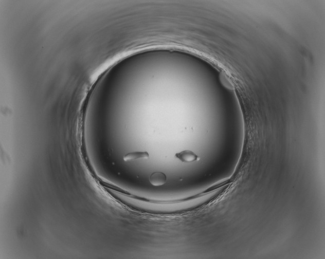 X0000090901526200708061454