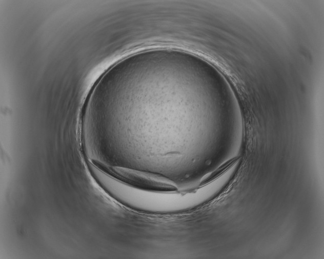 X0000090901527200708061454