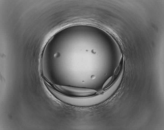 X0000090901528200708061454