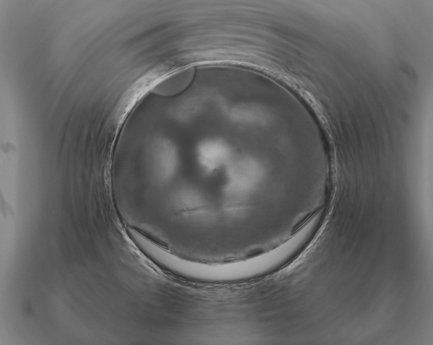 X0000090901529200708061454