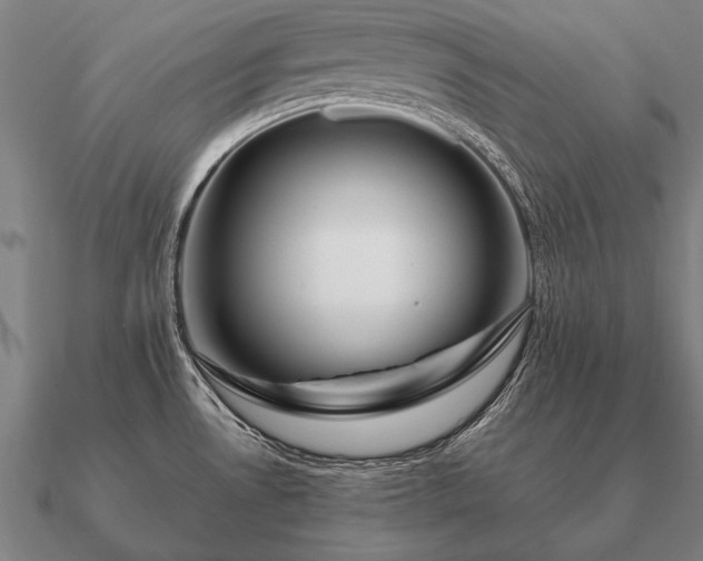 X0000090901530200708061454