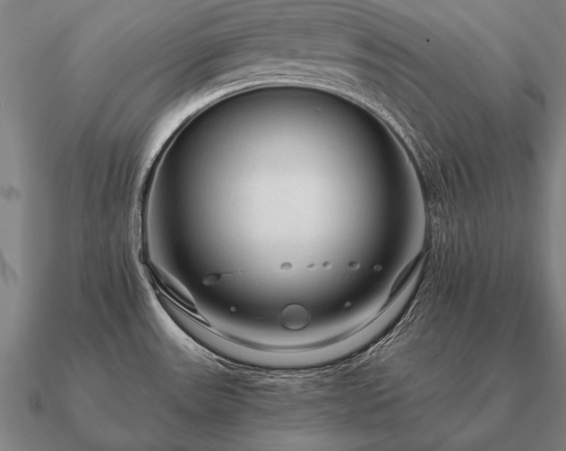 X0000090901531200708061454