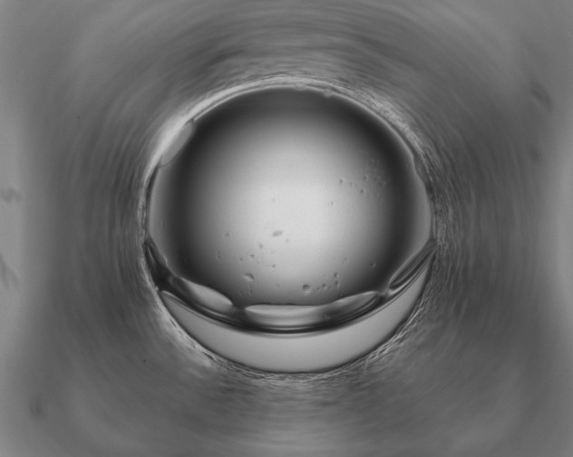 X0000090901532200708061454