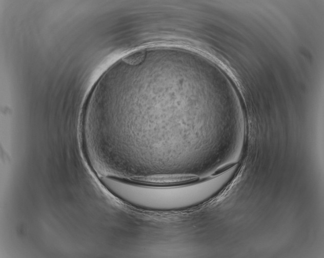 X0000090901533200708061454