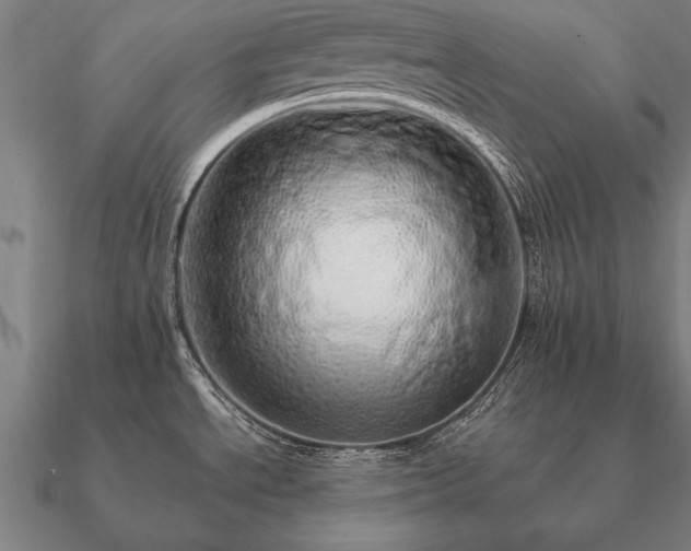 X0000090901534200708061454