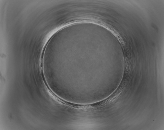 X0000090901535200708061454