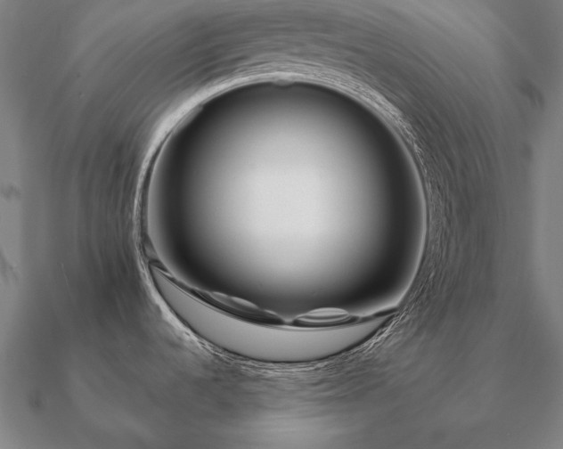 X0000090901536200708061454