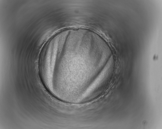 X0000090900002200708131402