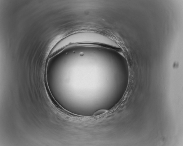 X0000090900003200708131402