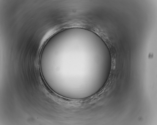 X0000090900004200708131402