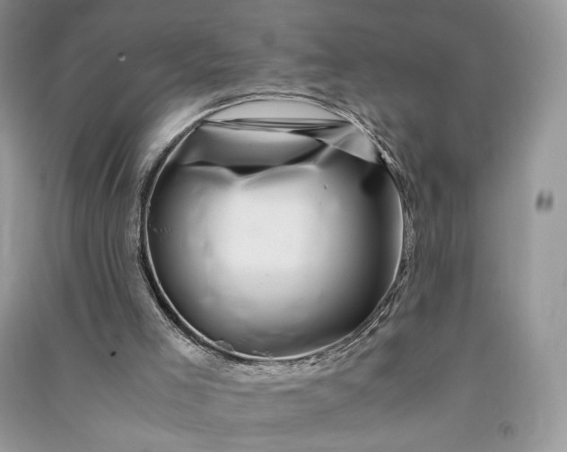 X0000090900005200708131402