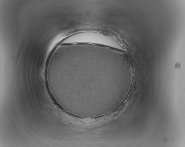 X0000090900006200708131401