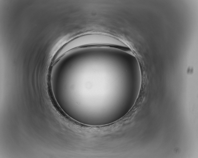 X0000090900007200708131401