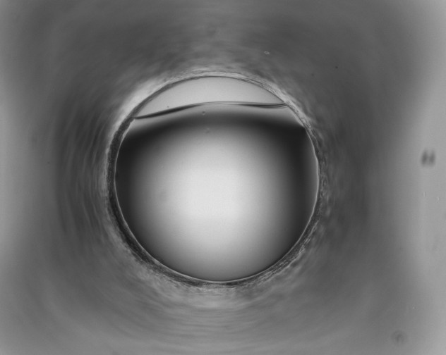 X0000090900008200708131401