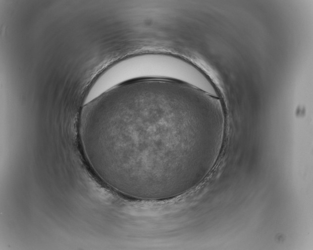 X0000090900009200708131401