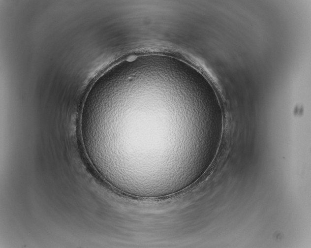 X0000090900010200708131401