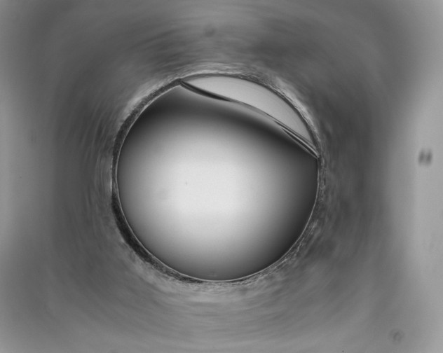 X0000090900011200708131401