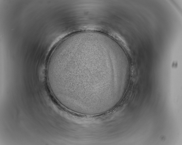 X0000090900012200708131401