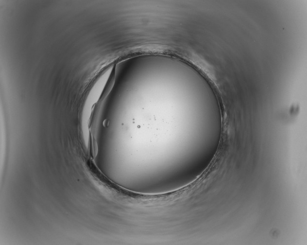 X0000090900013200708131401