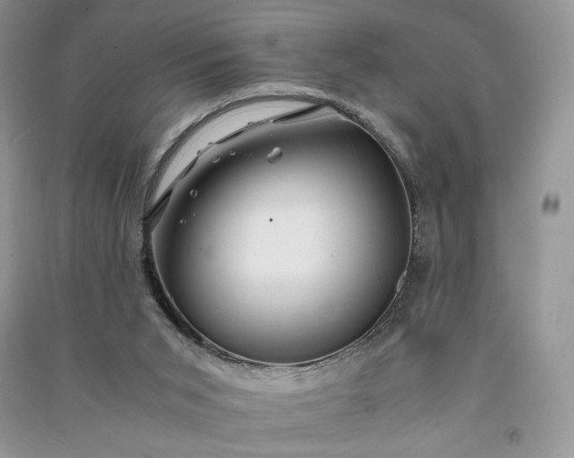 X0000090900015200708131401