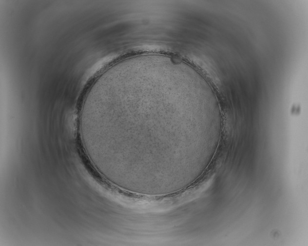 X0000090900016200708131401